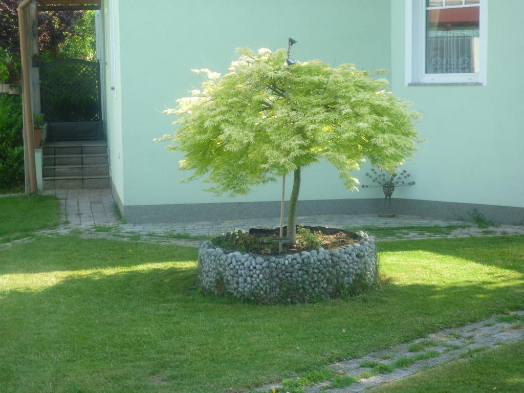 Gartenpension Prosl Wien Ngoại thất bức ảnh